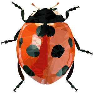 paquete ilustración digital